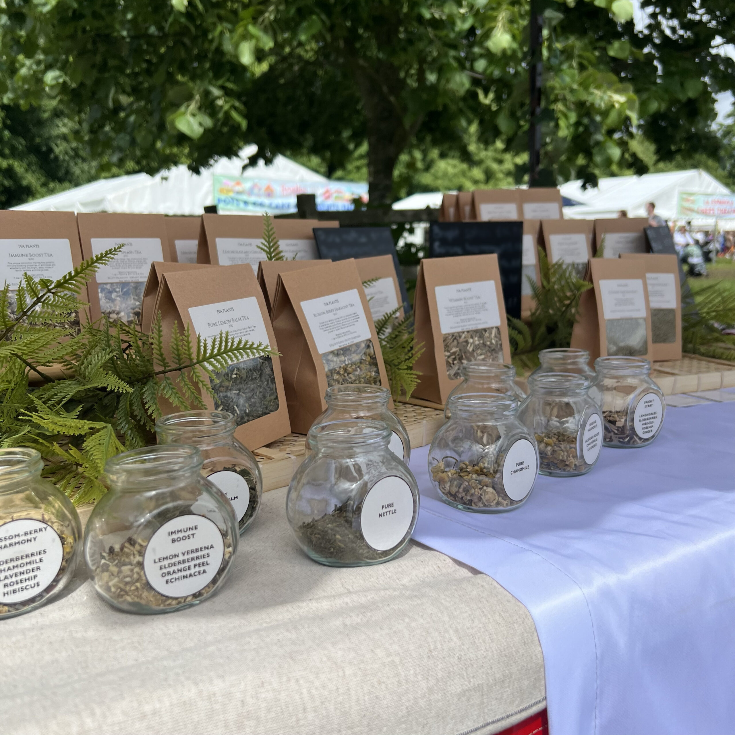 IVA Plants stall at Foodies Festival 2024, featuring herbal teas and cooking herbs, Syon Park London